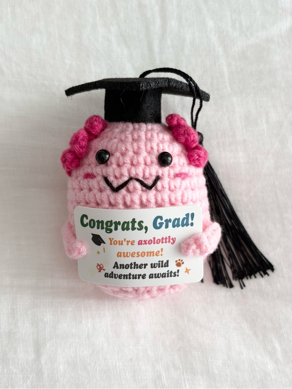 Crochet Graduation Encouraging Axolotl
